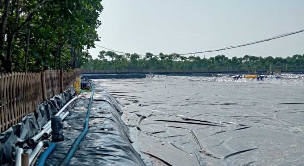 Geomembran Tambak udang