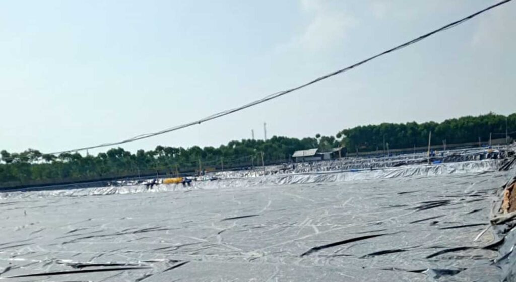 pemasangan geomembrane