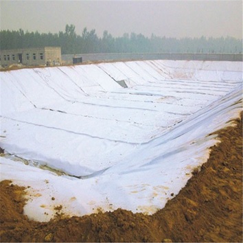 proteksi geomembrane